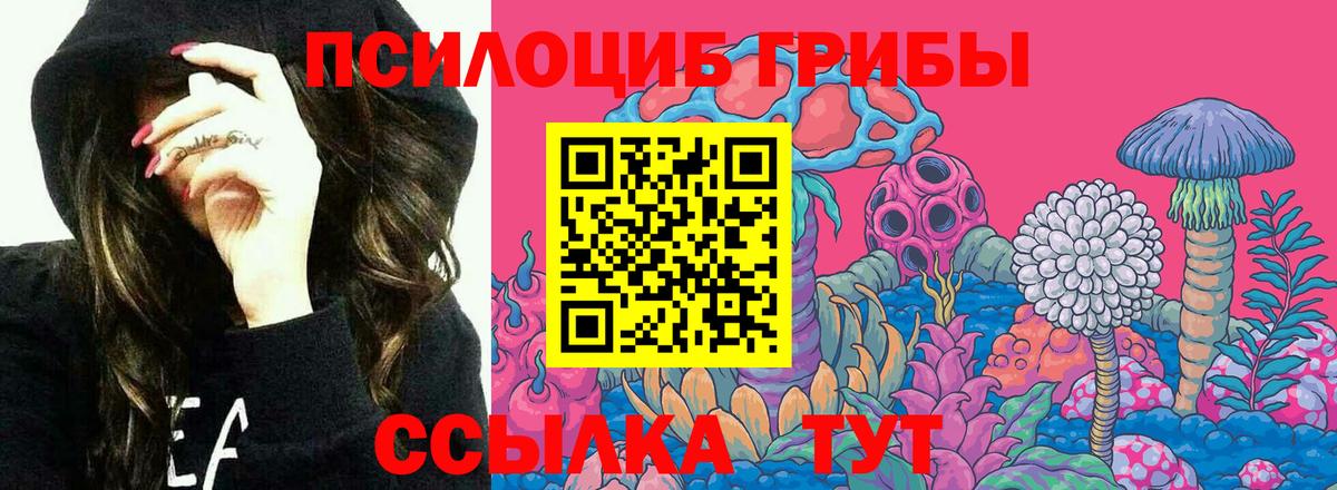 Галлюциногенные грибы GOLDEN TEACHER  Вход с VPN  Феодосия  Псилоцибиновые грибы Cubensis 