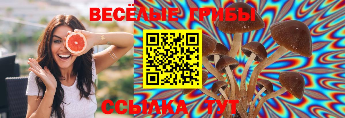 Галлюциногенные грибы Magic Shrooms Феодосия